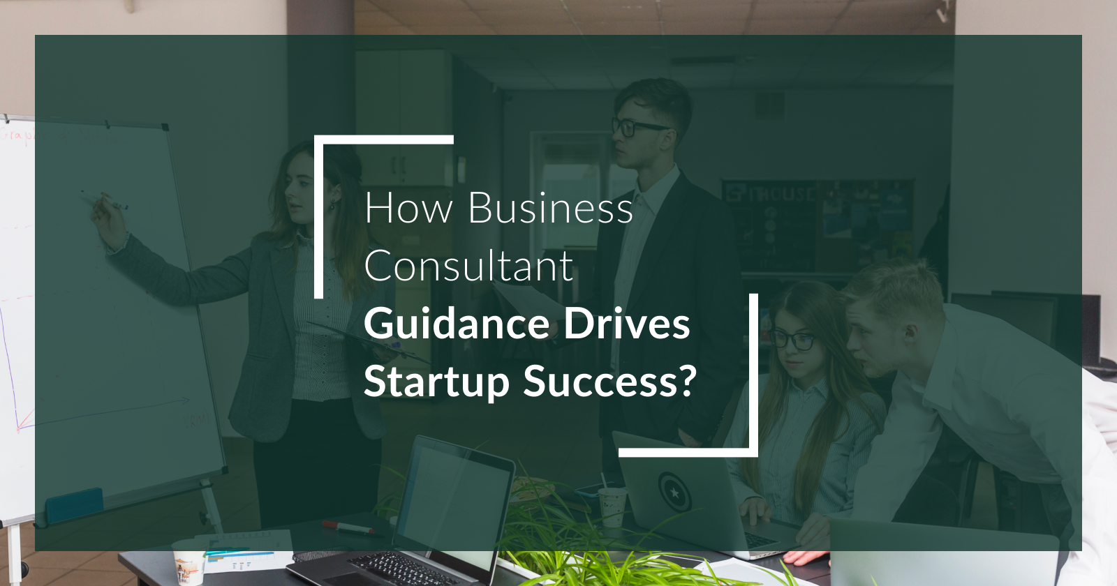 How Business Consultant Guidance Drives Startup Success?