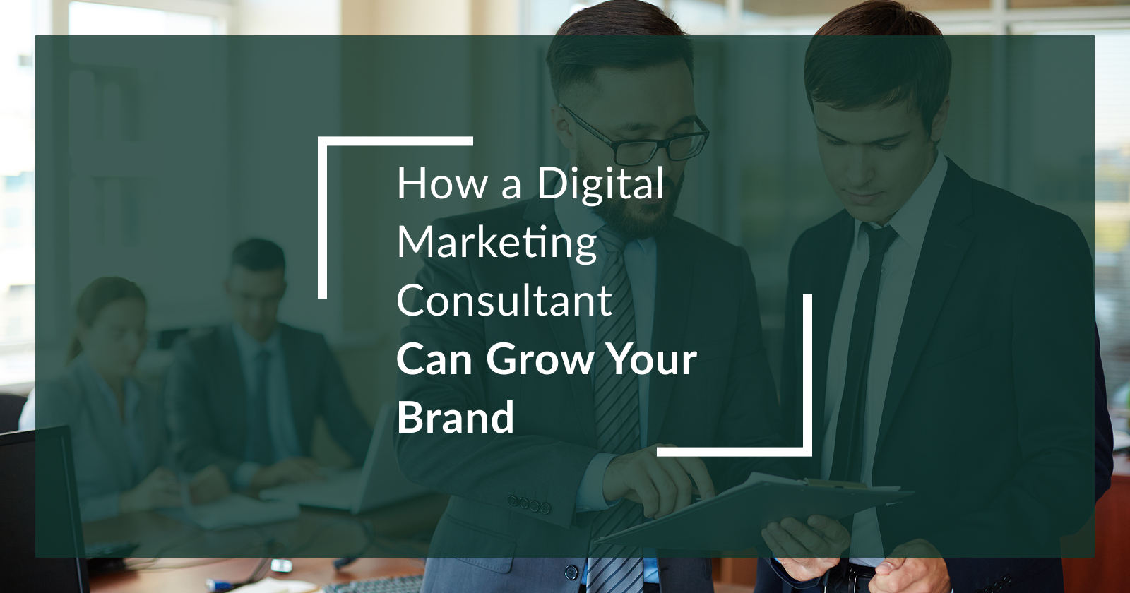 How a Digital Marketing Consultant Can Grow Your Brand