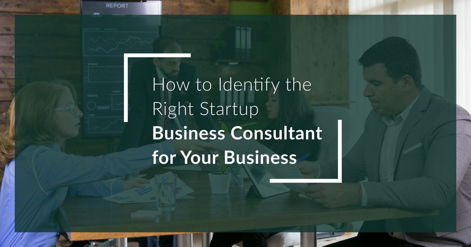How to Identify the Right Startup Business Consultant for Your Business